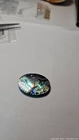 Oval cut natural abalone doublet gemstone photographed on white background with visible iridescent rainbow colors and patterns.