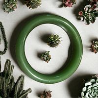 Top view of a circular solid green jade bangle bracelet surrounded by small plants for scale and aesthetics.