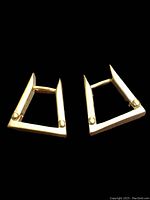 Pair of earrings front view on black background