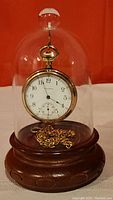 Watch and chain under glass dome on wood base