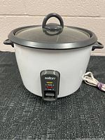 Front view of the Salton rice cooker with glass lid and power cord visible.