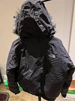 Back view of the black North Face winter jacket showing the hood with faux fur trim and logo on the shoulder.