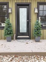 Both trees flanking front door on concrete steps showing overall appearance and scale
