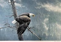 Close-up of the print showing the eagle perched on the tree with blue-gray misty forest background, signature and numbering visible on the white border below.