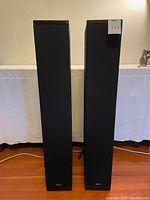 Two Definitive Technology tower subwoofers front view