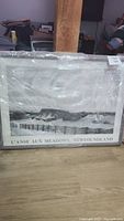Two framed posters wrapped in bubble wrap, one titled 'L'Anse Aux Meadows, Newfoundland' showing a Viking theme.
