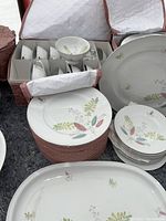 Photo showing stacked dinner and salad plates, soup bowls in storage case, and serving platter with botanical and silver trim design