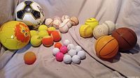 Front view of lot showing all balls: soccer, baseballs, softballs, basketballs, tennis, golf and bouncy ball arranged on cloth surface.