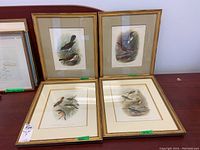 Four framed bird art prints shown grouped on a surface, each framed in gold-tone frames with matted borders, depicting various bird species.