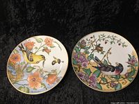 Front view of two Hutschenreuther collector plates showing colorful bird and floral designs with gold edges.