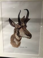 Framed numbered print of an antelope signed by artist N Wilson, numbered 227/950, 16 x 22 inches metal frame and matted.