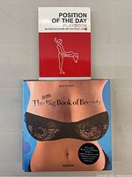 Photo showing both books stacked, "Position of the Day Playbook" on top with red and white cover and "The Big Book of Breasts" below showing a woman's torso with lace bra on the cover.