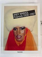 Front cover of the Andy Warhol Polaroids 1958-1987 book featuring a color photo of a person with a white fur hat and colorful clothes.