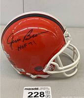 Side-angle view showing full mini helmet and faceguard