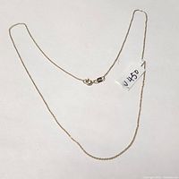 Full view of the necklace showing the entire chain and clasp.