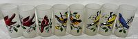 Full set of 8 frosted glass tumblers lined up showing colorful wild bird designs on each glass.