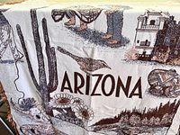 Close-up of the blanket showing 'ARIZONA' text, saguaro cactus, flowers, and desert bird detail.
