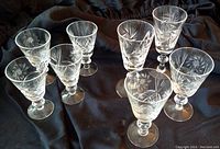 Eight sherry glasses arranged in two groups on dark fabric showing the intricate etched floral and starburst designs and clear glass construction.
