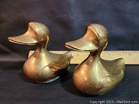Pair of vintage brass duck banks side by side in front of a ruler for size reference.