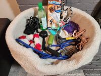 Top-down photo showing assorted pet toys, grooming tools, leashes, and brushes inside a soft beige pet bed.