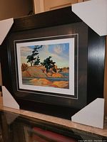 Professionally framed fine art print with protective corner covers in black wood frame.