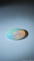 Loose oval opal cabochon on white background showing full surface and play-of-color