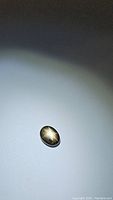 Oval black star sapphire gemstone showing six-rayed star effect under light on a flat surface.
