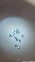 Close-up photo of multiple small blue faceted gemstones on a plain background, showing color and cut details.