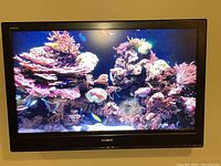 Front view of Sony Bravia 40 inch LCD TV displaying colorful coral reef image.