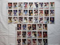 Photo showing 45 hockey cards laid out in 5 rows, each card protected in a clear plastic sleeve. Cards display various NHL players with different team uniforms.