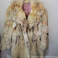 Front view of short-length vintage fur jacket hanging