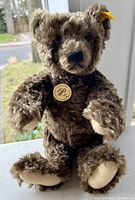 Front-facing photo of the brown plush Steiff teddy bear sitting upright, showing facial details, tags, and paw pads.