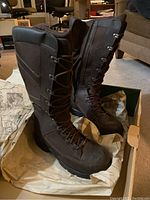 Pair of tall brown men's snake boots made by Danner, size 13, new, standing in their box with tissue paper.