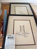 Two framed ink drawings showing a tree stump and a bird, each 8x10 in size.