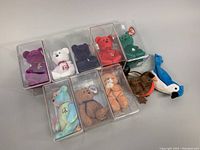 Overview of 10 Ty Beanie Babies bears and birds, most bears in clear plastic protective cases with tags visible, birds on the side without cases