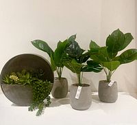 Whole lot including the large galvanized disk planter filled with faux succulents and the three faux tropical plants in cement pots shown from front angle.