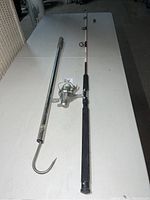 Fishing pole laid out showing full length with reel mounted and metal gaff alongside