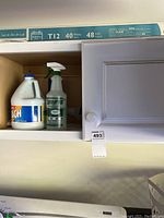 Cabinet with Clorox bleach gallon and green spray cleaner bottle