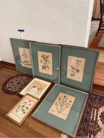 View of six framed botanical prints laid against a wall, one small framed watercolor, and a small oval rug on the floor.