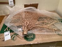 Natural sea fan coral resting on cardboard packaging, partially wrapped in bubble wrap