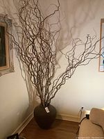 Full view of large pottery planter with tall natural twisted wood stems inside, over 6 feet tall.