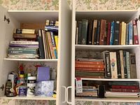 Photo shows two shelves filled with various physics, engineering, and gardening books along with an assortment of household cleaners and supplies like Goo Gone and Kleenex tissues.