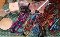 Overview of all dog accessories including collars, harnesses, leashes, and bowls laid out on table.