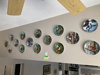 Full view of 14 colorful collector plates mounted on wall showing various bird illustrations from Canadian Wildlife series.