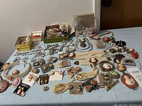 Wide layout of assorted cameo jewelry, pearl necklaces, and other costume jewelry on cloth surface