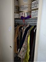 Wide view of closet showing hanging garments and labeled hat boxes on shelf