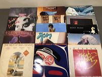 Collection of 14 vinyl records with covers, showing various album artwork and artists.