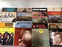 Overview of vinyl record covers showing various artists including Beach Boys, Leonard Cohen, Bert Kaempfert, Jackie Gleason, with good condition covers.