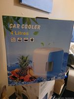 Photo of box showing car cooler product packaging with 4 liters capacity, depicting fresh fruit and cooling ice visuals.