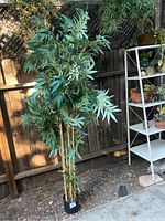 Tall faux bamboo plant shown outdoors against a wooden fence with natural light, displaying the plant's bushy green leaves and multiple bamboo-like stalks in an artificial black base.